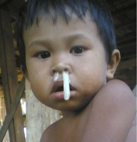 cemungudh cemungudh