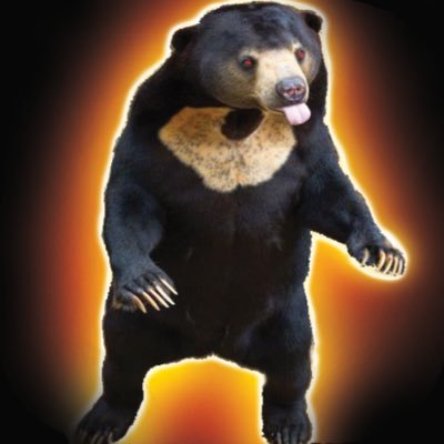 YouTube Streamer #Roblox #Minecraft #FunAndGames
