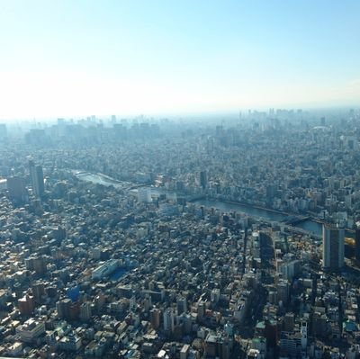 Amy2200G's profile picture. あまりつぶやくことはないですが、たまにリプライすることがあります。日本のサブカル系の話題なら大体反応できると思います。他者に思いやりを向けられる人が大好きですし、自分もそうなろうと思って日々を生きています。