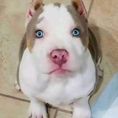 kevi62410559's profile picture. 🥵