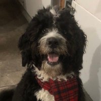 JoePackGo (@joepackgo) 's Twitter Profile Photo