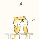 Ada Wang - @AdaWang53588016 - Twitter