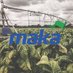 Maka Irrigation (@MakaIrrigation) Twitter profile photo