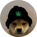 Robert (@roberttt10) Twitter profile photo Robert (@roberttt10) Twitter profile photo
