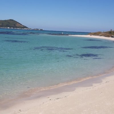 tVBosEAuM68HCxL's profile picture. 임자 없습