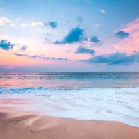 MIMI (@mim2525mim55) Twitter profile photo