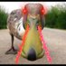 DuckFanDan (@duckfandan) Twitter profile photo DuckFanDan (@duckfandan) Twitter profile photo
