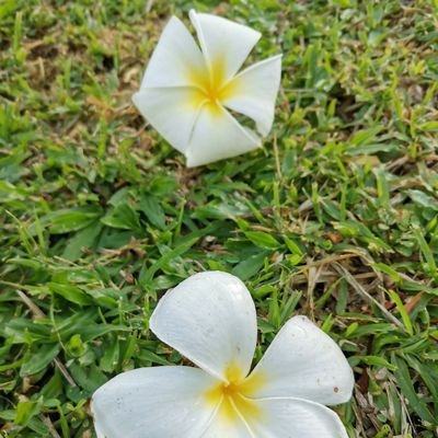 LetupSuperNova's profile picture. Tak de apa yg menarik pun