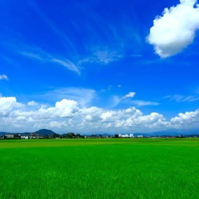 OrangeRefresher's profile picture. 