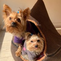 Don Shopping World (@shoppingdon) 's Twitter Profile Photo Don Shopping World (@shoppingdon) 's Twitter Profile Photo