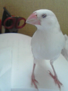 senri1274's profile picture. 「経済」のわかりやすい本紹介。
「歴史」と経済がどうつながっているか。
その他、息抜きもありのページを、
つくっていきます。