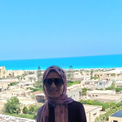 Associate Professor at College of Law, Alexandria University.