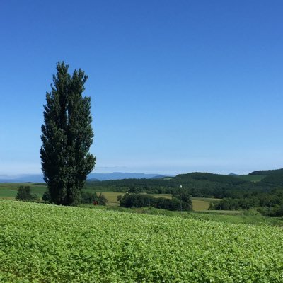 mofumofuurd's profile picture. 返り咲きFANKSです。2022年WOWOWでintelligence Days見て、今なら私もライブ行ける！とDEVOTIONチケット取るも参戦出来ず😭 STAND 3 FINALで初TMライブ参加。平井堅/B'z