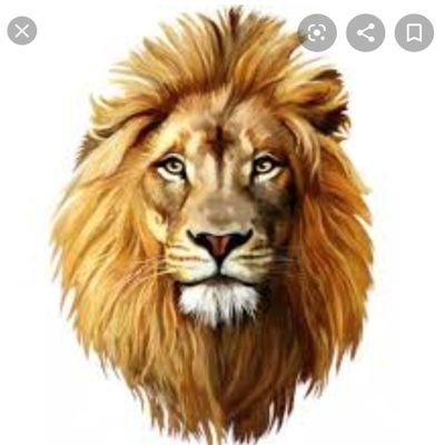 MariamAzeb's profile picture. 