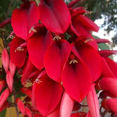 jamorales99's profile picture. 