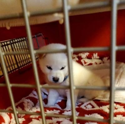 GIsc8mQnzmMR19L's profile picture. よろしくお願いします