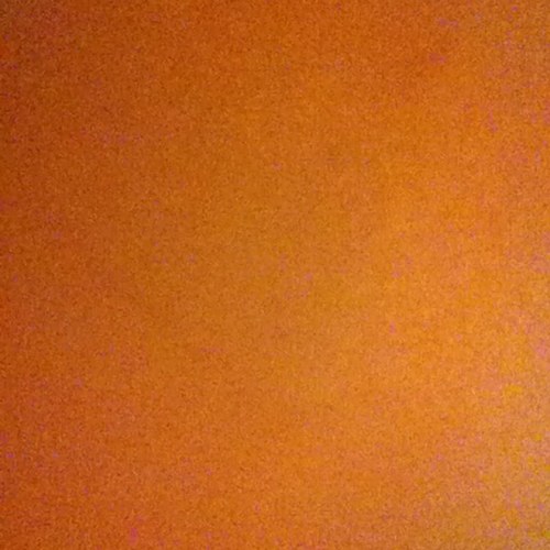 shylee12's profile picture. 