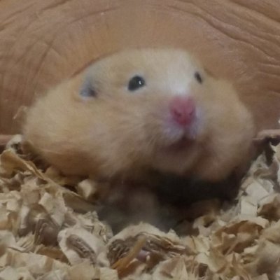 新垣一斗