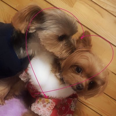 ______92m's profile picture. 