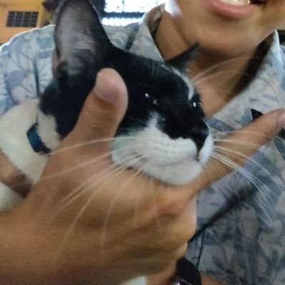 sifuwong_WJ's profile picture. Keyboard warrior