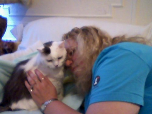 Cat Mom, Cat Rescuer/TNR, Author 'FROM THE BETWEEN https://t.co/js3uf7MXGq
https://t.co/wnKjVCEiNl