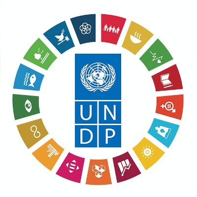 UNDPChina Profile Picture