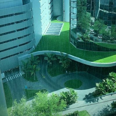 dancavalcanti4's profile picture. Zeus cachaça