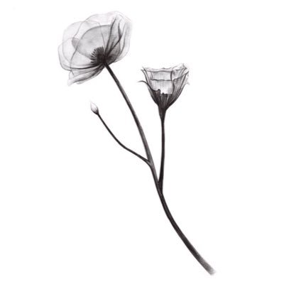 pleasepleasem19's profile picture. ジュエリーの情報収集アカウント🫶JTC5年目 1st春2nd夏・骨ウェ・ソフエレ