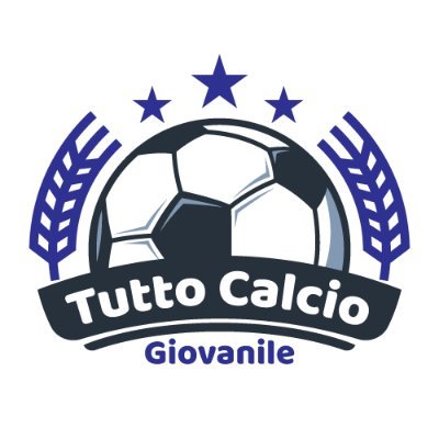 Tutto Calcio Giovanile si occupa delle categorie Nazionali Under  15, 16, 17 (A-B e Lega Pro), Berretti, Primavera 1 e Primavera 2.