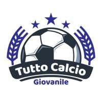 Tutto Calcio Giovanile(@TCGiovanile) 's Twitter Profile Photo