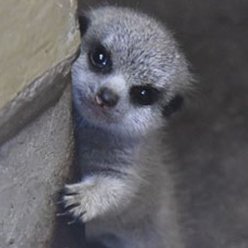 fTdwXbXOJNp8DTr's profile picture. 無言フォロー失礼いたします🙏💦