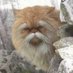 Peter Kempster (@peterkempster) Twitter profile photo Peter Kempster (@peterkempster) Twitter profile photo
