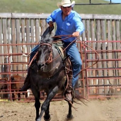 Dad, husband, rancher, farmer, hunter, roper.