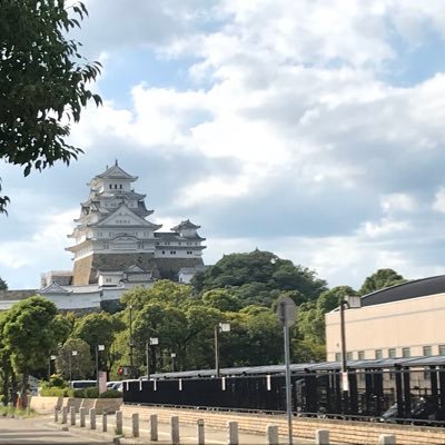 tsunatsuna71's profile picture. 80年生、フルタイム→自営業へ転職。2019.9〜1人目不妊治療、移植3回目で2022.2.13出産。 2023.11〜2人目治療を再開。2024/4/12モザイク胚移植→❌、8/28未検査胚盤胞移植→6w稽留流産。2025/06/20未検査胚2個移植→❌。15年前から正常眼圧緑内障、左目上半分は視野欠損。