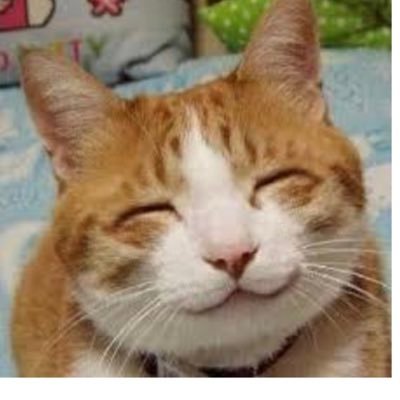 ツイッターデビュー╰(*´︶`*)╯♡