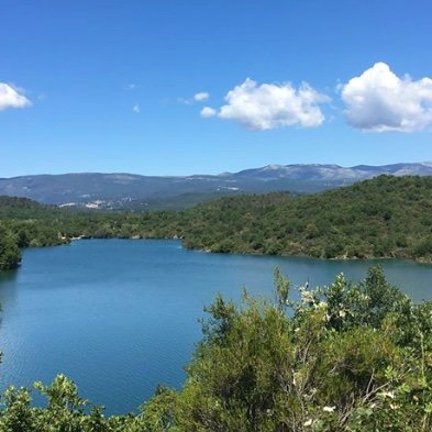 Comité de défense visant à protéger la forêt de l'Estérel et le lac de St Cassien du nouveau projet de Fontsante