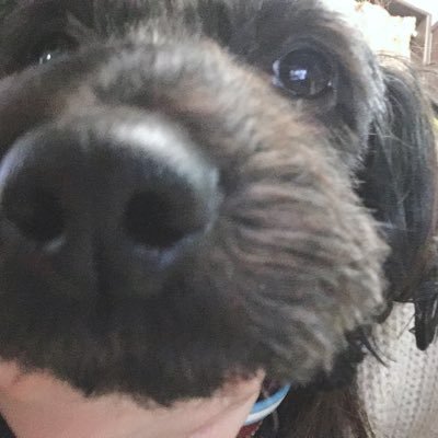 nanachanwan2's profile picture. 