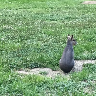 MALHZCym4OOAnDh's profile picture. ⚠️副業等全く興味ございません。成り上がり系・起業系のアカウントからのフォローやDMは固くお断りします。