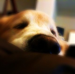 lovemyObaby's profile picture. 