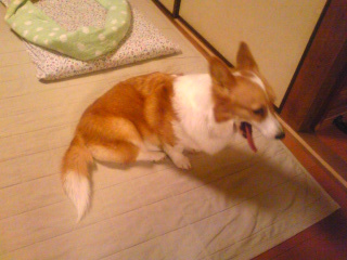 yude761109's profile picture. 埼玉県入間市在住の、歴史や国旗、歌、カワイイものキャラを愛する「ちょっと変わり者？」です。
最近は、学食めぐりやラーメンの食べ歩きをしています。東京の立川を拠点に、ゴスペルの活動をしています♪
推しは、女優の佐藤玲(りょう)ちゃんです♪