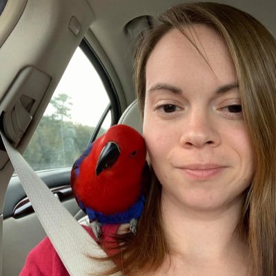 Christian, wife for 10 yrs, Mom of two humans under 10, bird mom to a feisty eclectus parrot named Joan and two ducks named Pitter and Patter.