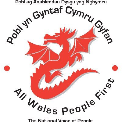 I am the Chief Executive of 'All Wales People First' the National voice of People First and self-advocacy groups across Wales.