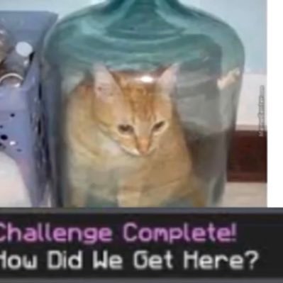 daggomtea's profile picture. He person man