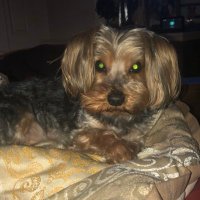 Since1972 (@erickaursula) 's Twitter Profile