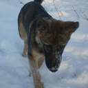 Eva Roos - @EvaRoos95 - Twitter