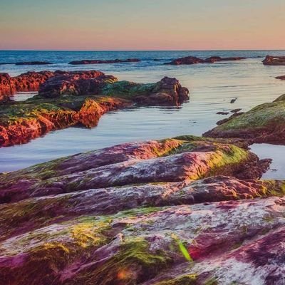 EVi0JsbeQkB1jci's profile picture. 