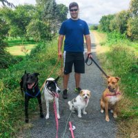 Alex Urkiel (@curkiel) 's Twitter Profile Photo