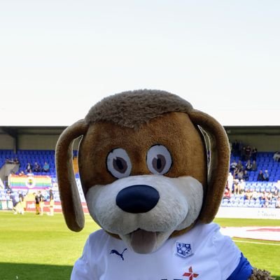 Hi, I'm Rover the Dog, the official mascot of @TranmereRovers! ⚽