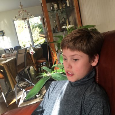 telecommande2's profile picture. 