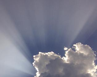 shijipanthalil's profile picture. A person who faces life as it comes..